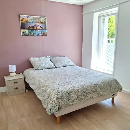 La Maison Douessine - Hyper Centre La Fontaine - Wifi Gratuit -proche Bioparc Zoo *