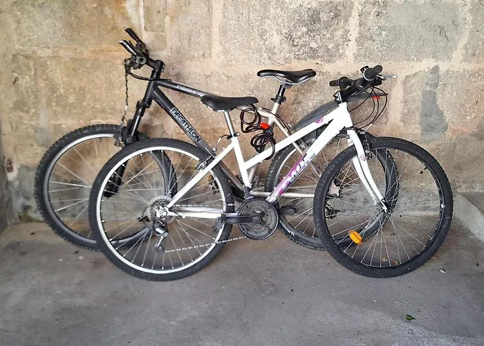 La Maison Douessine - Hyper Centre La Fontaine - Wifi Gratuit -proche Bioparc Zoo Casa vacanze Doué-la-Fontaine